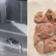 M'Sian Girl Suspects Neighbours Tried To Poison Her Dog After Discovering Suspicious Meat - World Of Buzz 3