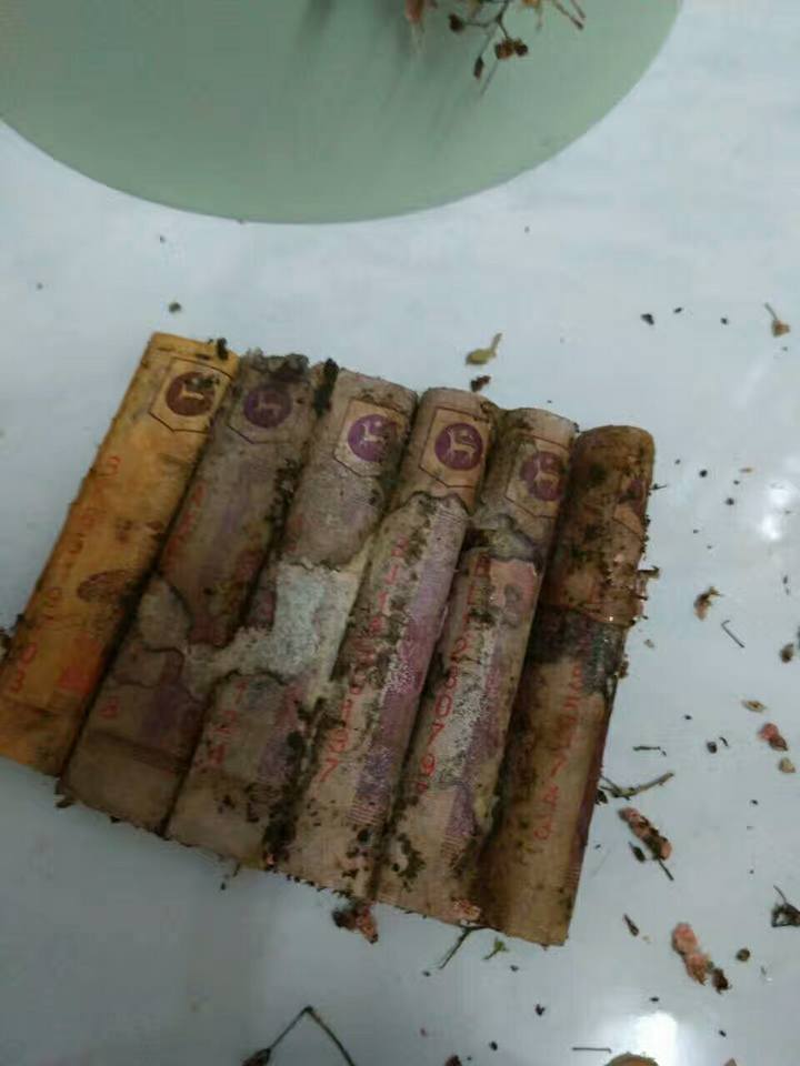 M'sian Shares What Happens to Banknotes After She Leaves Them in a Box with Flowers - World Of Buzz 1