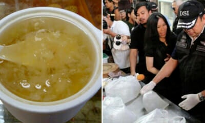 Thai Restaurants Selling Fake Bird'S Nest Mostly To Chinese Tourists Exposed By Police - World Of Buzz