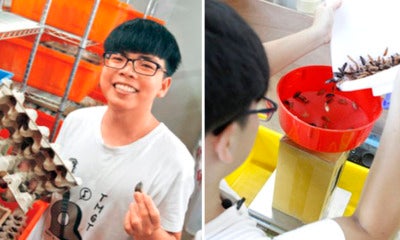 This 20-Year-Old Uni Student Makes Rm28K Per Month By Farming Cockroaches - World Of Buzz