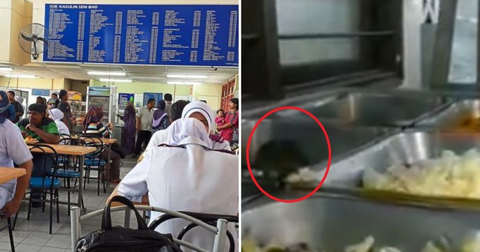 Video Of Rat Eating Food Allegedly In Klang Hospital Cafeteria Upsets Netizens - World Of Buzz 5