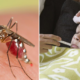 Experts Warn Of Deadly Super Malaria Spreading Through Southeast Asia - World Of Buzz 4