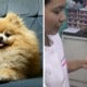Medical Student Allegedly Kills His Own Dog For Insurance Money - World Of Buzz 4