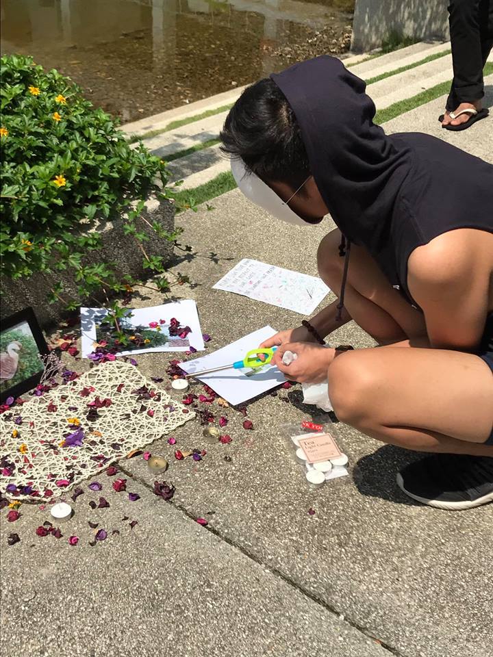 One of The Geese from Taylor's University Just Died And Students Had a Memorial For It - WORLD OF BUZZ 5