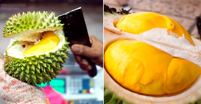 Bentong, Famous For Musang King Durian Chosen To Hold Global Durian Festival In November - World Of Buzz