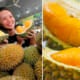 Malaysians Can Enjoy Cheaper Musang King Durian In November, Here'S Why - World Of Buzz