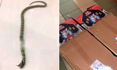 Mother Orders Ultraman Toys From Taobao For Son, Receives 'Surprise Present' Inside - World Of Buzz