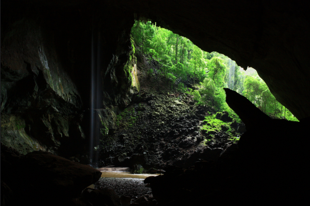 There's a 'Deer Cave' in Malaysia and It's the Second LARGEST Cave in the World! - WORLD OF BUZZ 4