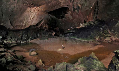 There'S A 'Deer Cave' In Malaysia And It'S The Second Largest Cave In The World! - World Of Buzz 7