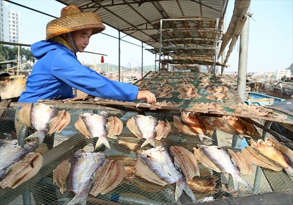 Chinese-Style Salted Fish Categorised in Group 1 as Carcinogenic by Experts - WORLD OF BUZZ 1