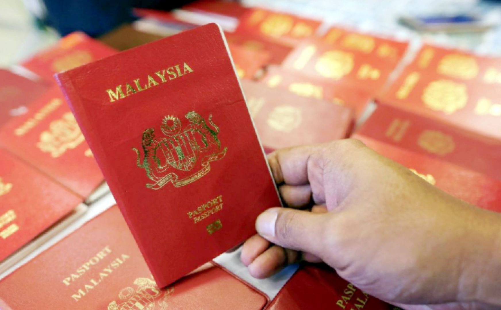 Free Replacement For Penang Flood Victims' Passports Until Dec 31 - World Of Buzz