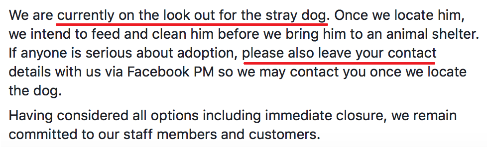Here's What The Cafe In PJ Under Fire Has To Say About Their Managing Partner's Abuse Towards The Stray Dog - WORLD OF BUZZ 10