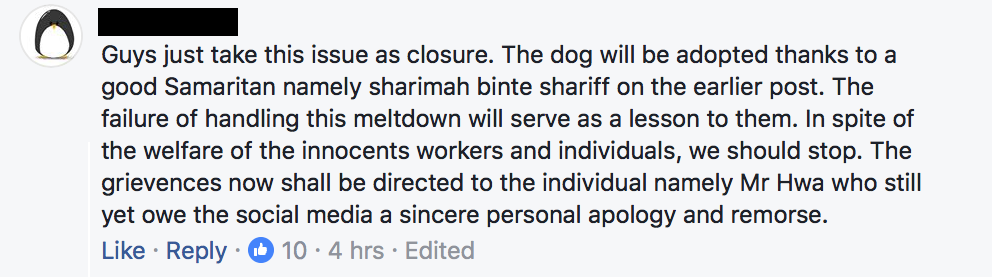 Here's What The Cafe In Pj Under Fire Has To Say About Their Managing Partner's Abuse Towards The Stray Dog - World Of Buzz 11