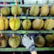 Lawmaker Wants &Quot;Durian Discount Cards&Quot; For Penangites Due To Increasing Prices - World Of Buzz 1