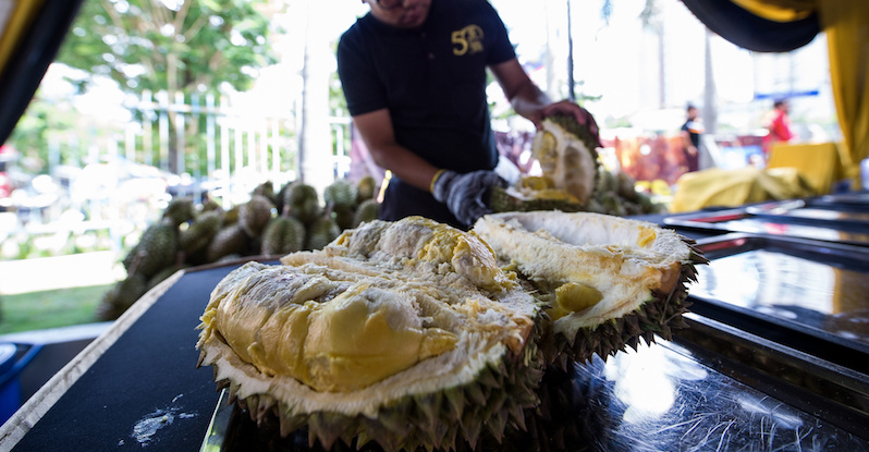 malaysias durians are the best in the world chinese vip says world of buzz 5 1