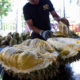 Malaysia’s Durians Are The Best In The World, Chinese Vip Says - World Of Buzz 4