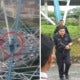 Man Who Climbed Electric Tower Near Menara Tm Actually Wanted To Take A Birthday Selfie - World Of Buzz 9