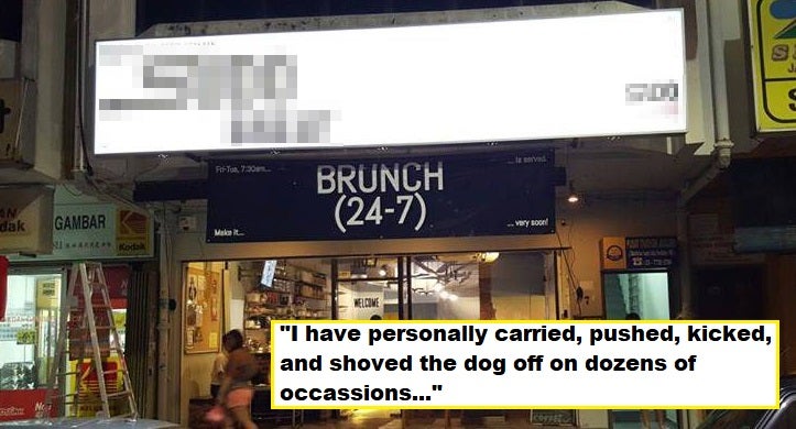 M'sian Cafe Under Fire After Managing Partner Admitted to Abusing Dog For Years - WORLD OF BUZZ 2