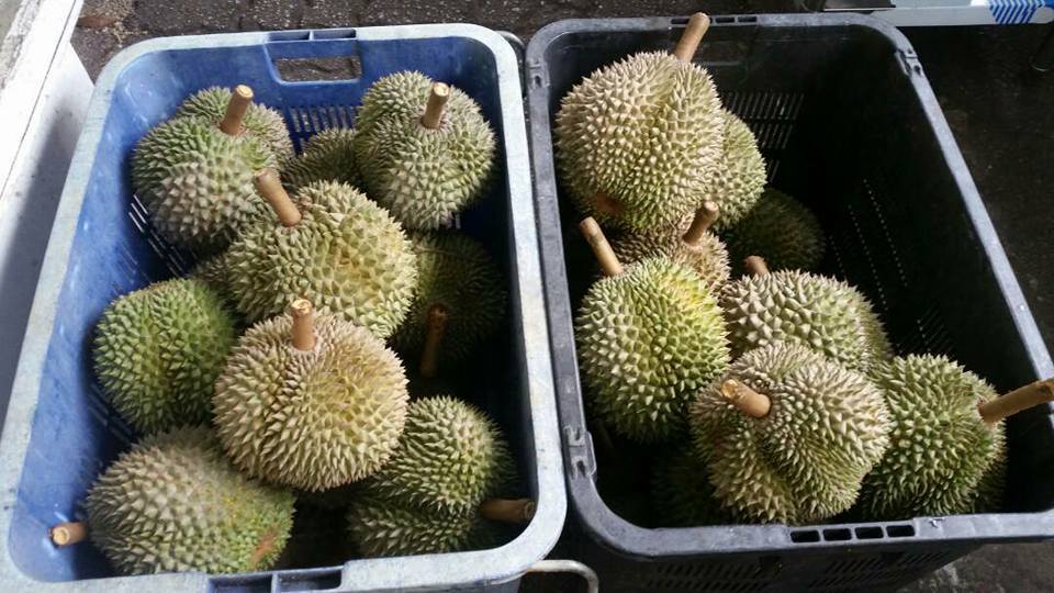 M'sians Can Buy Musang King for as Cheap as RM35 per KG This November! - WORLD OF BUZZ