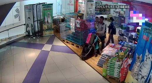 Netizens Outraged At Parents Stealing From Pet Store In Klang Right In Front Of Kids - World Of Buzz