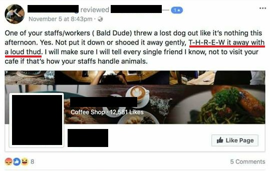 PJ Cafe Under Fire After Managing Partner Admitted to Abusing Dog For Years - WORLD OF BUZZ