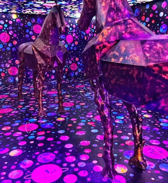 This Arts and Lights Exhibition in PJ is Every Instagrammer's Dream - WORLD OF BUZZ 18
