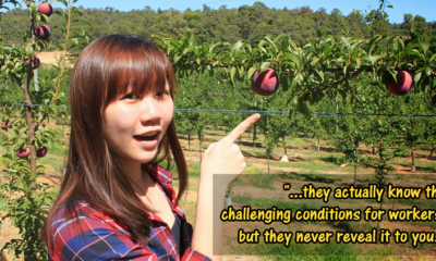 This Malaysian Went Undercover To Expose Modern Slavery In Australian Fruit-Picking Farms - World Of Buzz