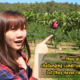 This Malaysian Went Undercover To Expose Modern Slavery In Australian Fruit-Picking Farms - World Of Buzz