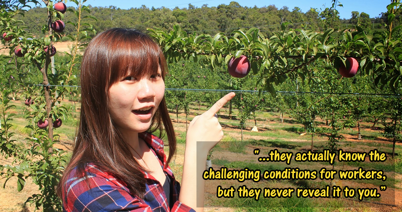 This Malaysian Went Undercover to Expose Modern Slavery in Australian Fruit-Picking Farms - WORLD OF BUZZ