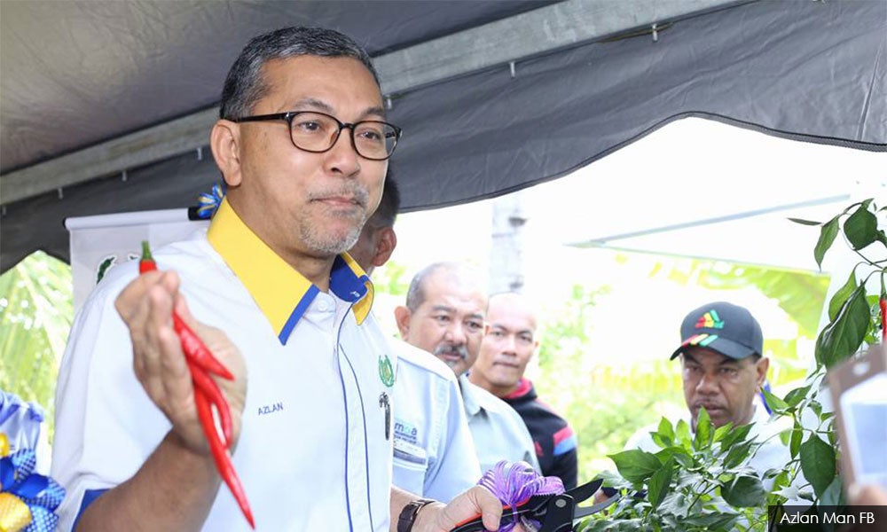 "Grow Your Own Vegetables at Home to Reduce Expenses," M'sian Minister Says - WORLD OF BUZZ 1