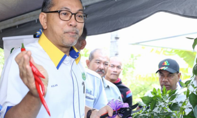 &Quot;Grow Your Own Vegetables At Home To Reduce Expenses,&Quot; M'Sian Minister Says - World Of Buzz 2