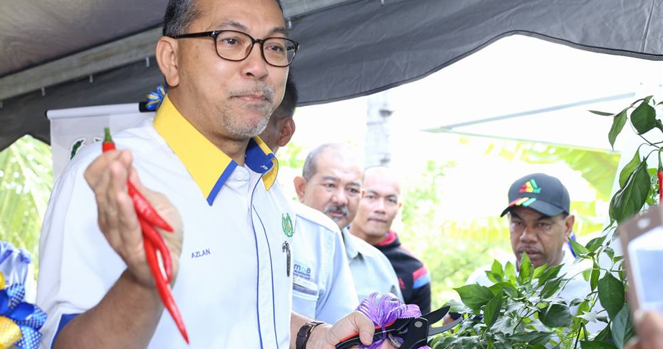 &Quot;Grow Your Own Vegetables At Home To Reduce Expenses,&Quot; M'Sian Minister Says - World Of Buzz 2