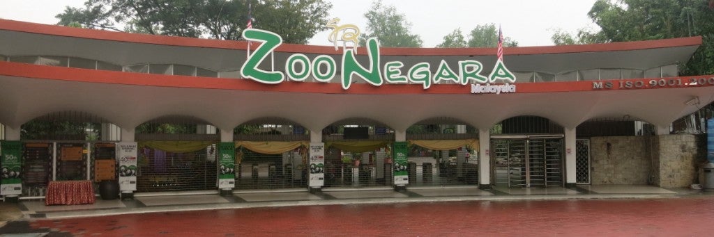 If Your Birthday Falls in December, You Can Visit Zoo Negara for Free! - WORLD OF BUZZ 5