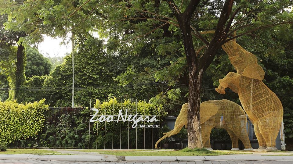 If Your Birthday Falls In December, You Can Visit Zoo Negara For Free! - World Of Buzz 7