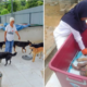 Kind M'Sian Saves And Cares For Stray Dogs Although There Are Religious Taboos - World Of Buzz 4