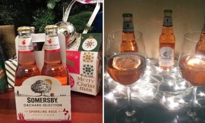 Somersby Just Released Their Limited-Edition Sparkling Rosé And We Tried It Out! - World Of Buzz 16