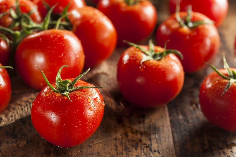 Study Suggests That Smokers Can Eat More Tomatoes to Repair Damaged Lungs - WORLD OF BUZZ