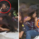 Teen Absorbed With Taking Selfie On Railway Tracks Gets Hit By Train, Suffers Severe Injuries - World Of Buzz 4
