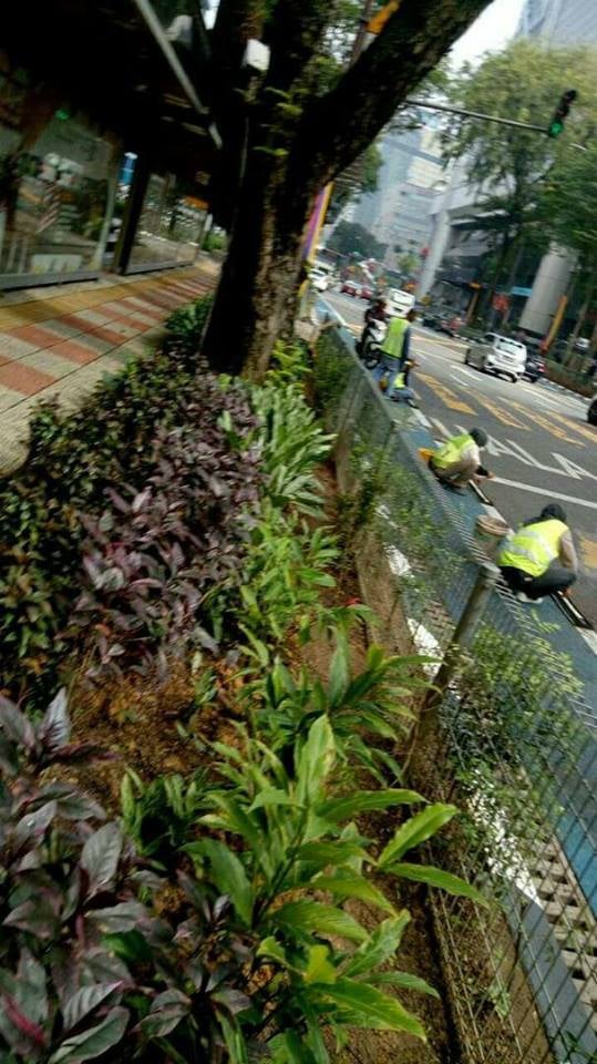 DBKL Take Down Dangerous Bicycle Lane Separators From Roads After Motorists Sustain Injuries - WORLD OF BUZZ 3