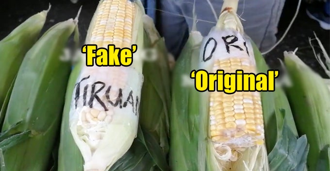 Here’s How Some Corn Sellers in Cameron Highlands Have Been Cheating You All Along - WORLD OF BUZZ 8