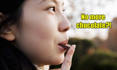 Humans Have 32 More Years To Enjoy Chocolate Before It Becomes Extinct - World Of Buzz