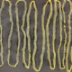 Man Passes Out 2.8M-Long Tapeworm From Rectum, Had Absolutely No Idea It Was Inside - World Of Buzz 2
