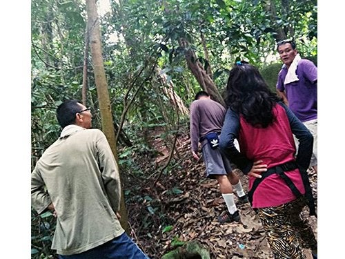 M'sian Warns Other Hikers After Finding Over 10-Foot Long Poisonous King Cobra On Trail - World Of Buzz