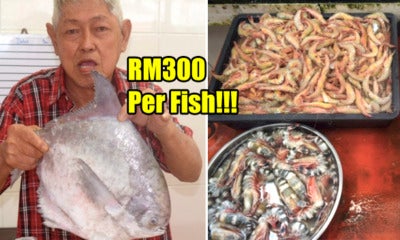 M'Sians To Pay For Expensive Seafood During 2018 Cny, Here'S The Estimated Price Range - World Of Buzz