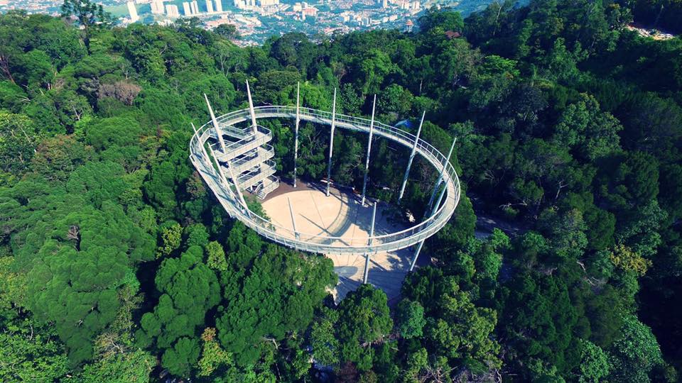 New Ribbon Bridge Located 700m Above Sea Level Opens in The Habitat, Penang Hill - WORLD OF BUZZ 2