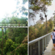 New Ribbon Bridge Located 700M Above Sea Level Opens In The Habitat, Penang Hill - World Of Buzz 8