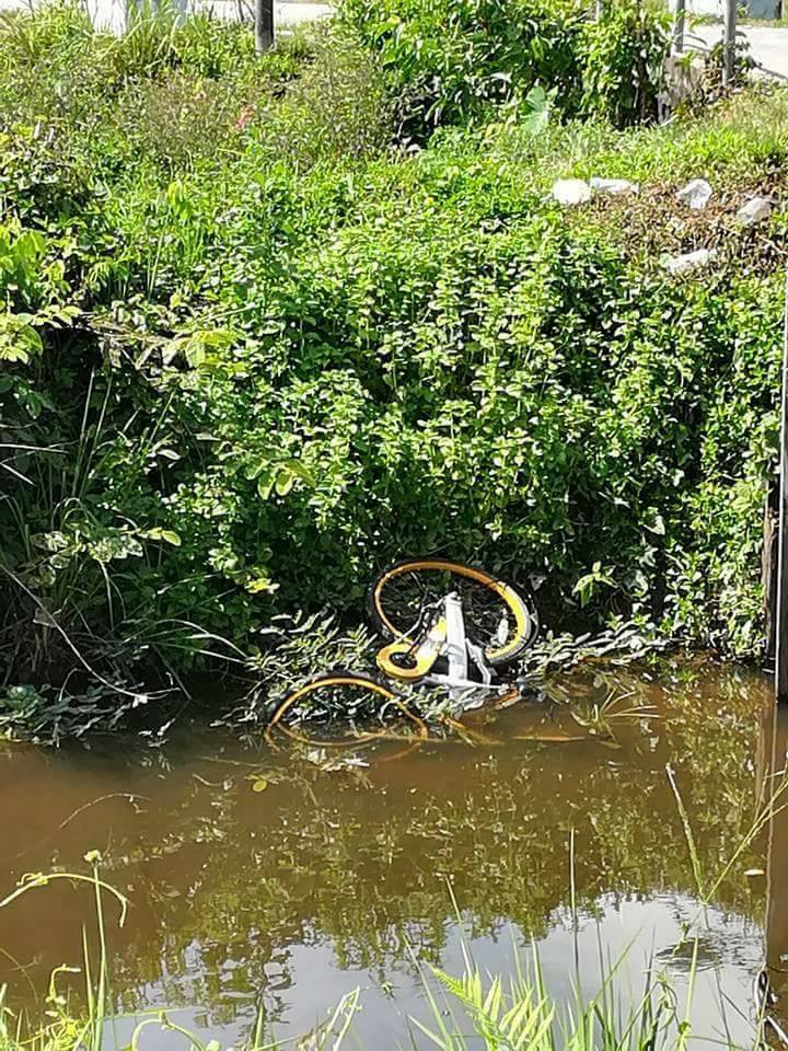 oBike Working with Police to Stop Vandalism, Culprits May Land in Jail - WORLD OF BUZZ 4