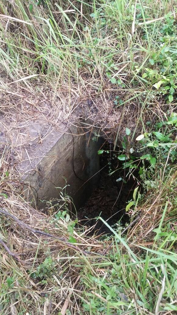 The First Ww2 Bunker Ever Discovered In M'sia Was Just Found, Here's What You Should Know - World Of Buzz 4