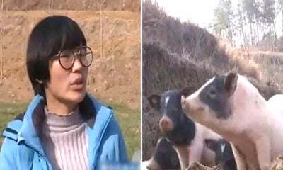This Millennial Balik Kampung To Rear Pigs, Now Earns Rm620,000 Per Year - World Of Buzz