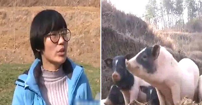 This Millennial Balik Kampung to Rear Pigs, Now Earns RM620,000 Per year - WORLD OF BUZZ